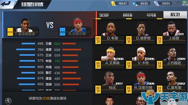 心的有效限 心的有效限